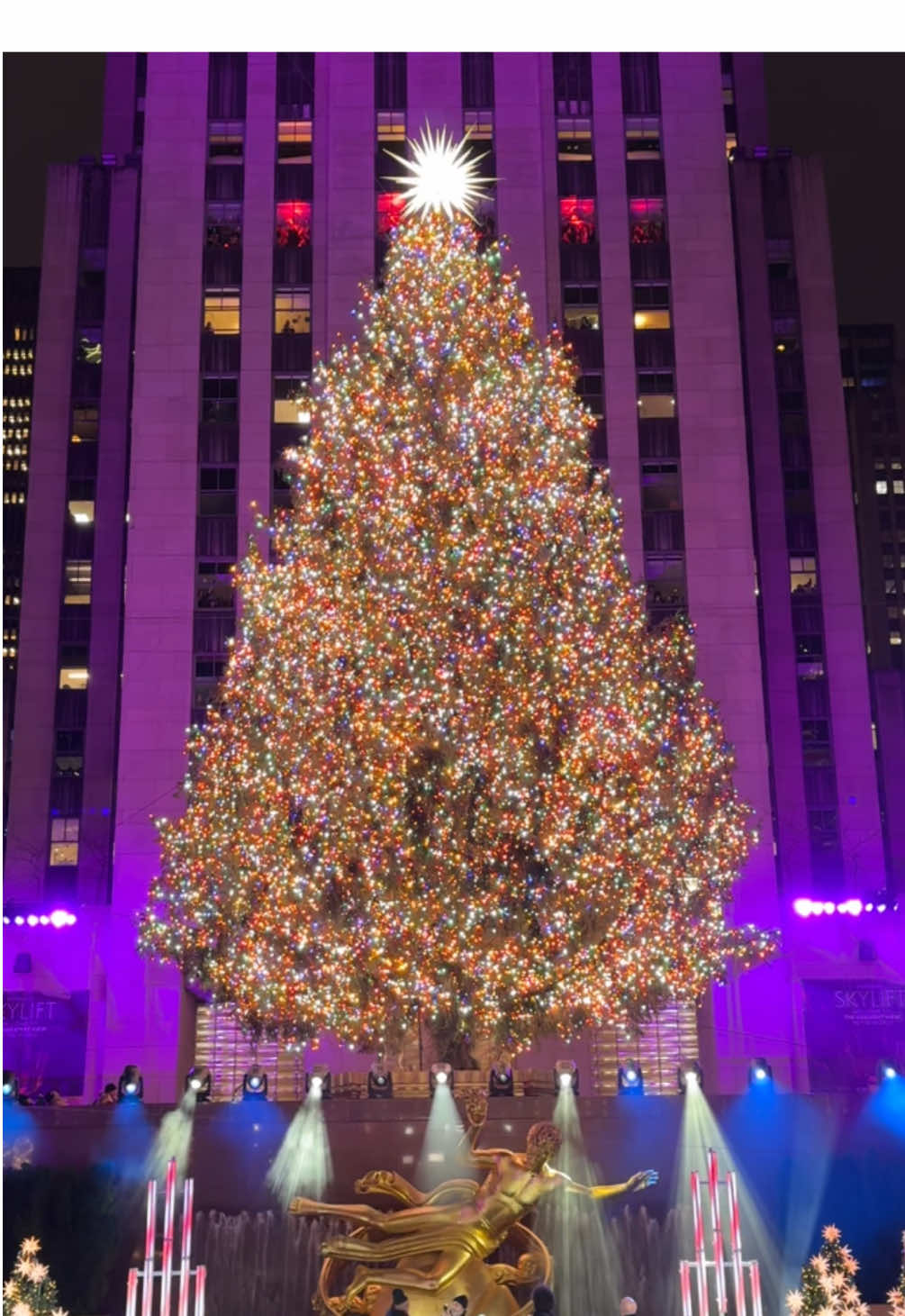 The 2024 Rockefeller Center Christmas Tree is officially sparkling on Center Plaza 🎄 Are you planning to see it in person? #rockefellercenter #christmastree  #christmasinnewyork 