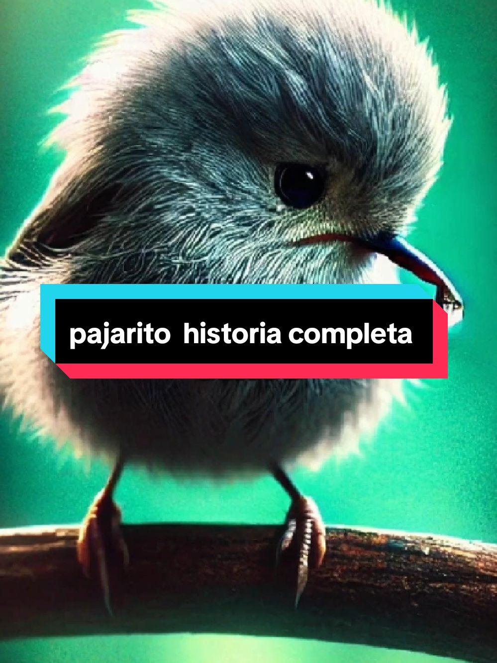 pajarito completo 