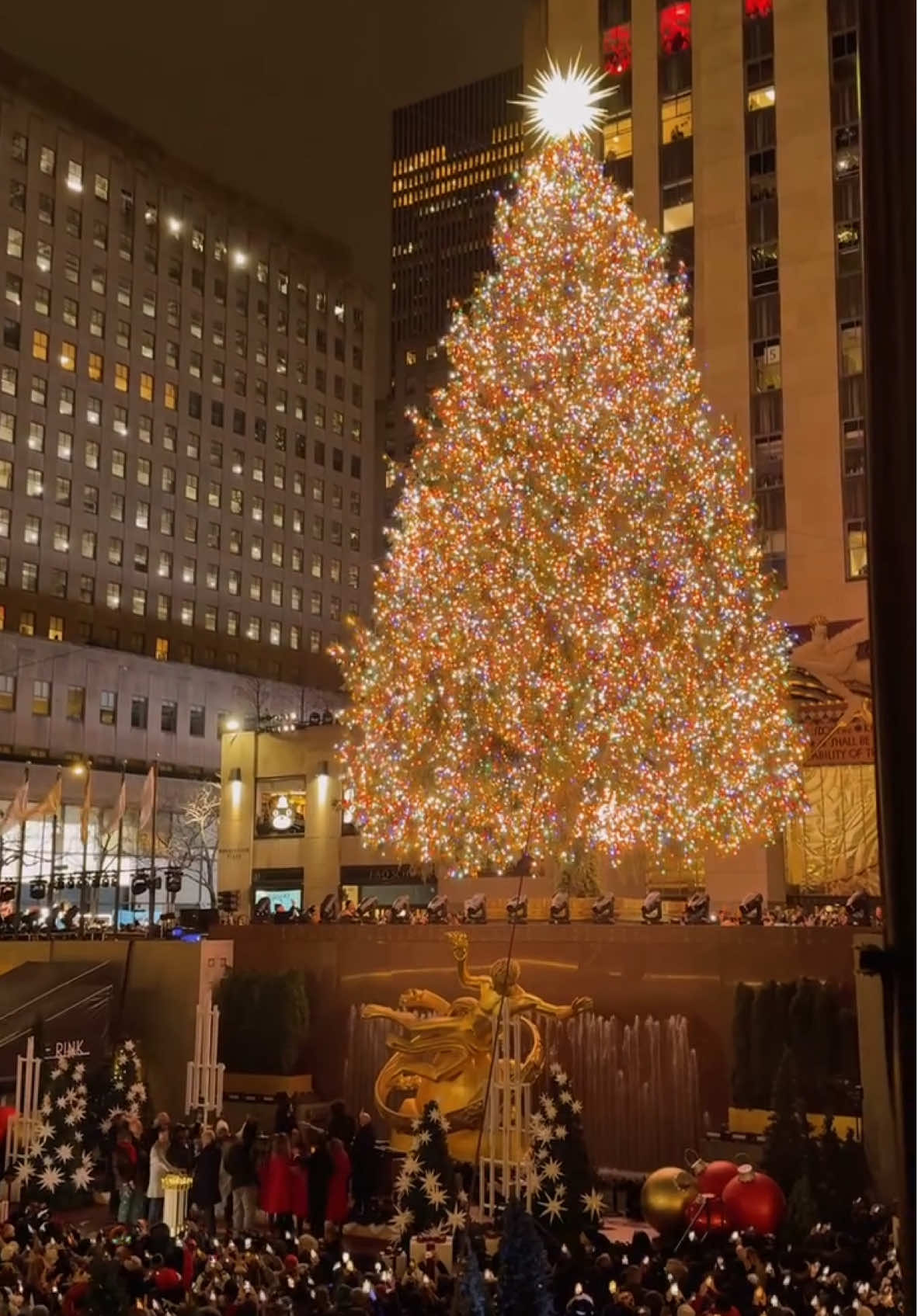 THREE… TWO… ONE… ✨🚨🎄🚨✨ and just like that—the @Rockefeller Center christmas tree has been lit for the 2024 holiday season!! MERRY CHRISTMAS ONE AND ALL!!!! #ethanbarberco #christmasinnewyork #rockefellercenter #topoftherocknyc #newyorkcity #nycgo #nyctourism #nycbucketlist #newyorkphotographer #nostalgia #christmas