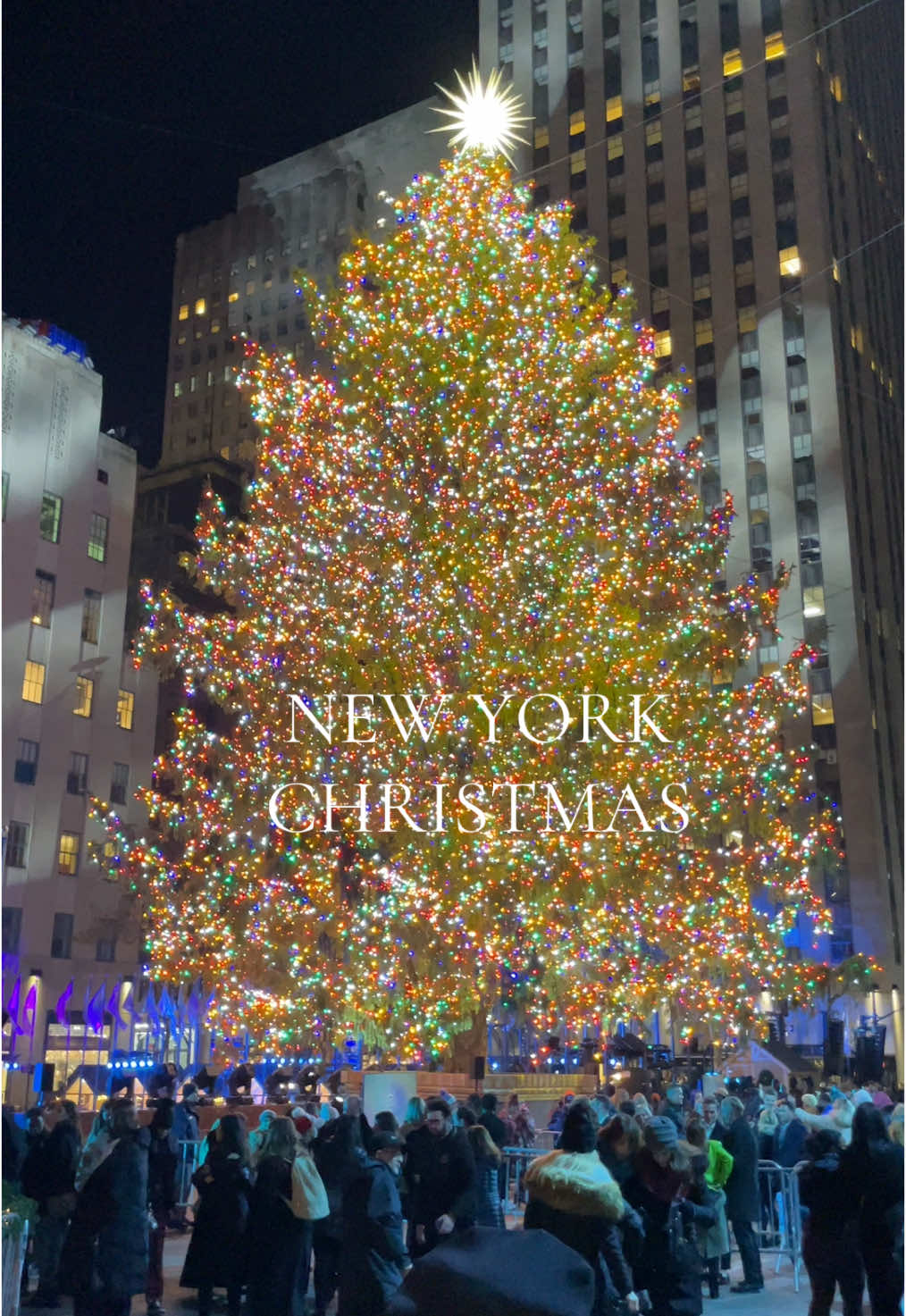 Rockefeller Center Christmas Tree🎄#rockefellerchristmastree #rockefellercenter #rockefellerchristmastree #christmas #christmasdecor #christmastiktok #christmastree 