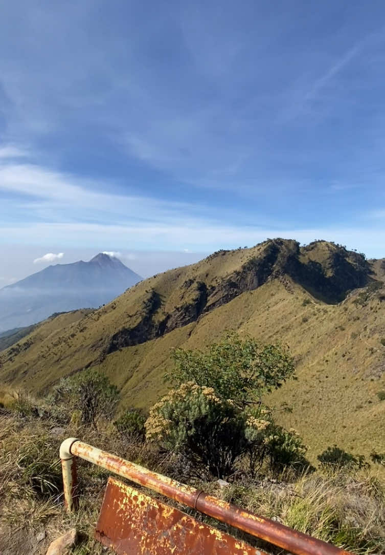 #merbabumountain #mountenesia #merbabuviawekas #merbabuviathekelan #merbabuviasuwanting #xyzbca #4upage #fyp @merbabu via wekas @merbabu via thekelan @pendakiindonesia