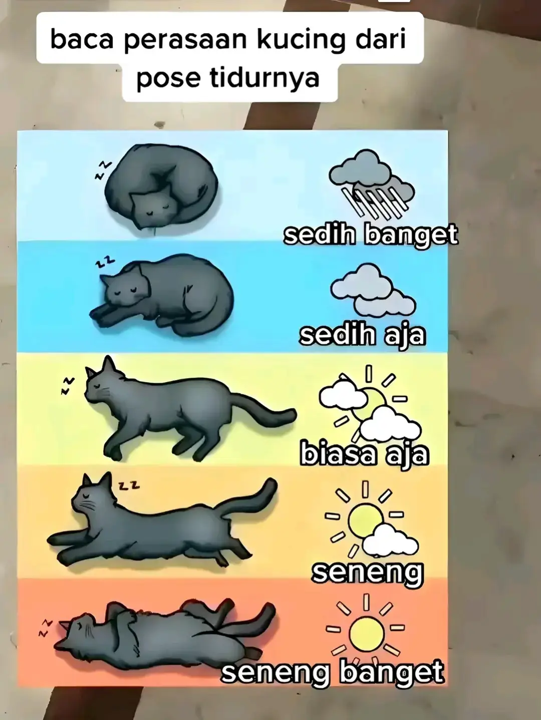 klo gini tandanya apa yh #kucing #kucingoren #kucinglucu #kucingtiktok #kucinggemoy 