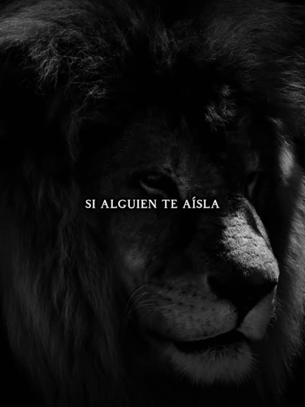 Si nadie te considera un enemigo, es porque aún no eres tan importante. #inspiration #harveyspecter #harveyspecteredit #usa #motivation #reflexion 