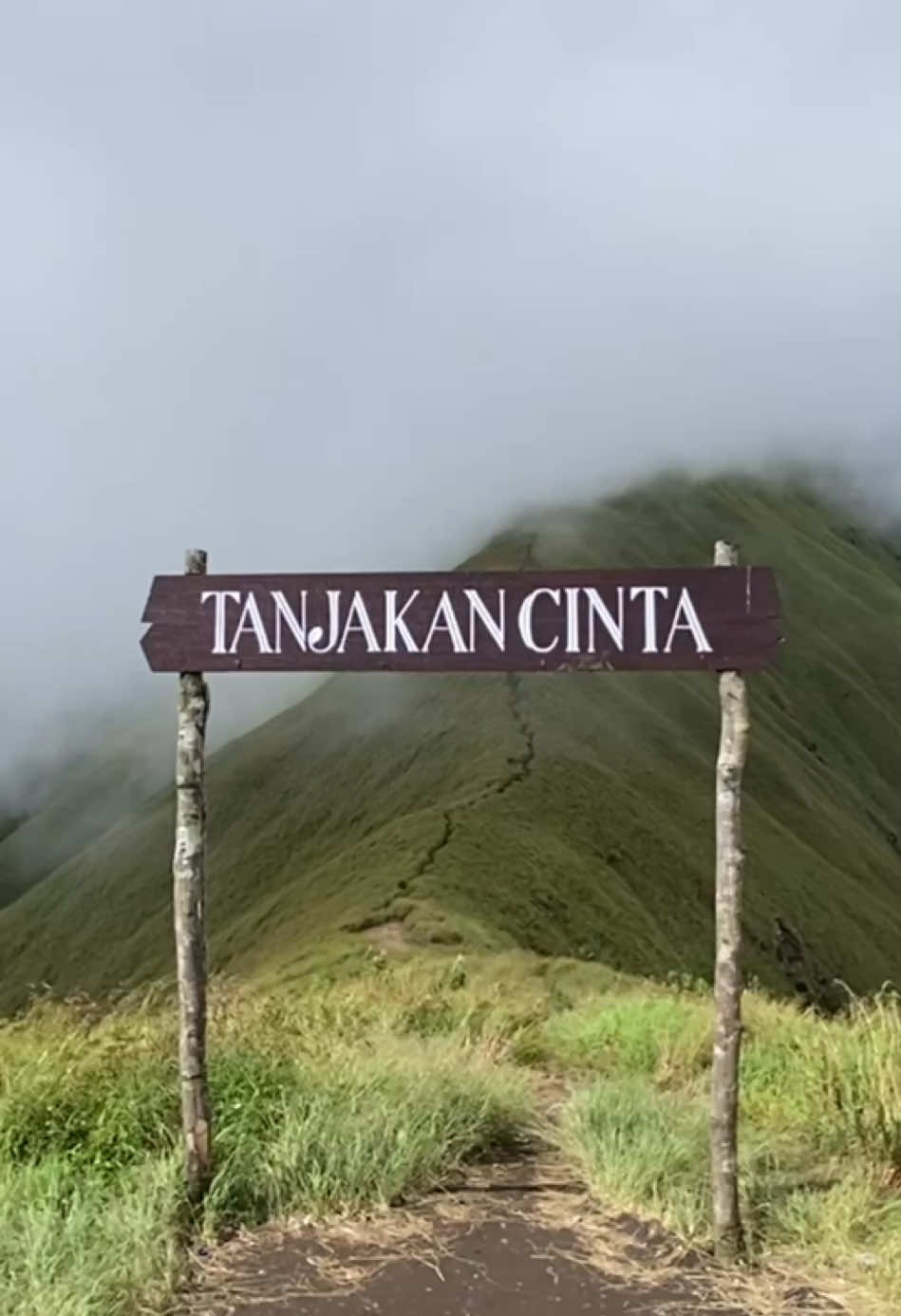 Akhirnya bisa ke tanjakan cinta juga, emang sebagus ini ya tanjakan cinta.  #tanjakancinta #lombok #ntb #pendakigunung #mountain #sembalun 