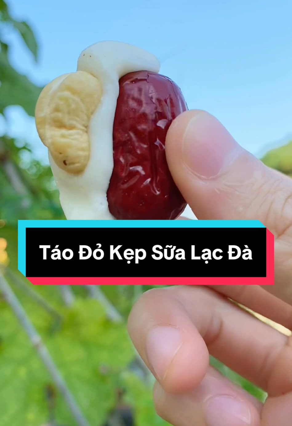 Táo đỏ kẹp sữa nhà Takla, quà Tết hoặc trưng bàn họ đám cưới rất sang trọng #taodokepsualacda #takla #taodokepsualacdanhanhatdieu 