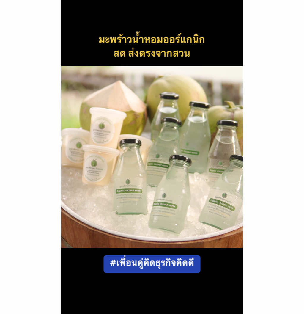 #gardenerhouseสวนมะพร้าวน้ําหอมอินทรีย์ #coconutthailand #มะพร้าวน้ําหอม #ออร์แกนิก #มะพร้าวน้ําหอมราชบุรี #organicfarming #เกษตรอินทรีย์ #สามพรานโมเดล #ของดีราชบุรี #เกษตรยั่งยืน #smartfarmer #organicthailand #thaicoconut #เพื่อนคู่คิด #เพื่อนคู่คิดธุรกิจคิดดี 