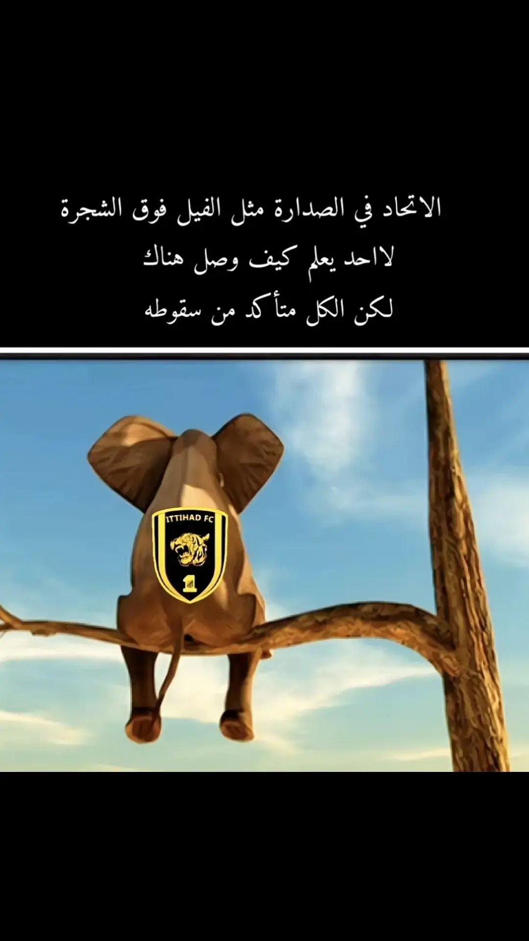 هههههههههههههههههههه . . . . . . . . #الاتحاد #الفيل #thesaudileague #روشن 