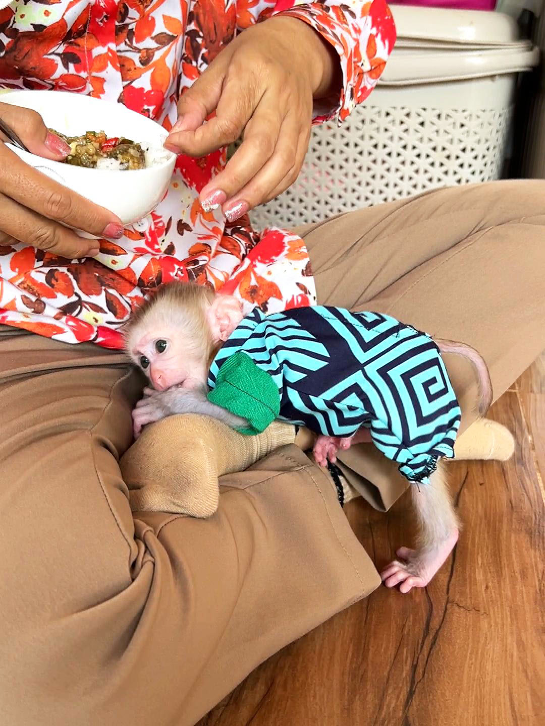 Maddox Doesn't Feel Like Starting A New Day When Mom Only Prepare Breakfast For Herself