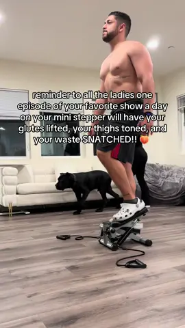 Better get on this sis! Don’t tell me I didn’t tell you! 🫵😭 #ministepper #stepper #homeworkouts #tiktokshopfinds #TikTokShop #GiftGuide #tiktokshopholidayhaul 