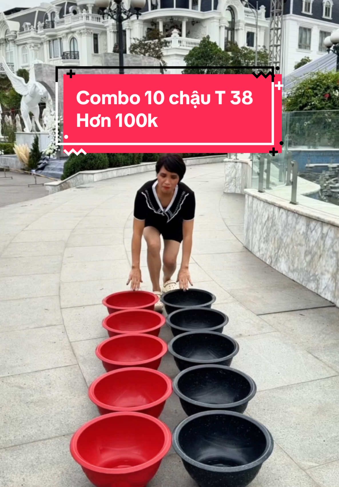 Chậu nhựa trồng cây ,trồng hoa  chỉ hơn 100k tận 10 chậu liền,chậu chắc chắn ,cứng cáp ,trồng cây đẹp mê#xuhuong #trending #huongtaphoa0 #chau #chaunhua #chaubonsai #chautrongcay #chautronghoa #chaunhuatrongcay #chaunhuatruyenthong 