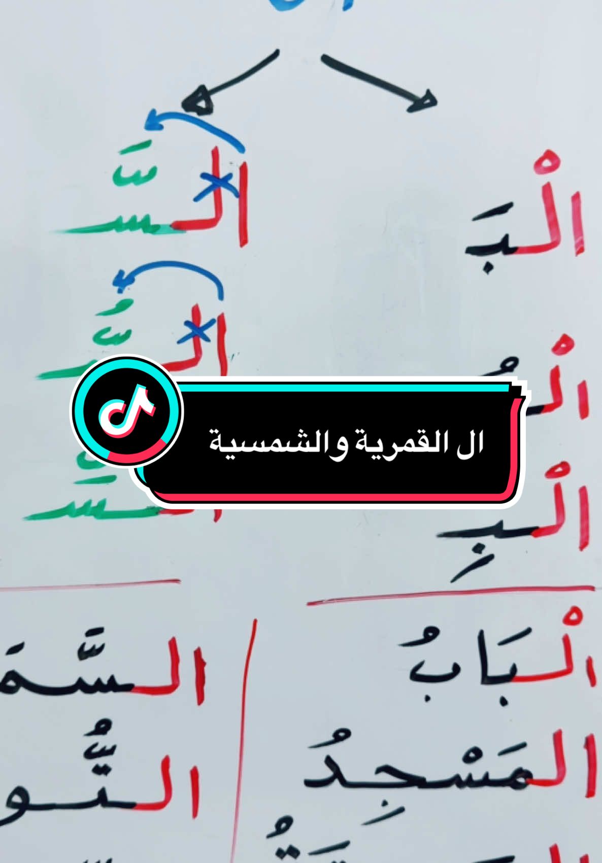 #مشاهدات100k🔥 #مشاهداتكم⬆️⬆️⬆️⬆️⬆️⬆️ #مشاهداتي #مشاهير_تيك_توك_مشاهير_العرب #مشاهدة_ممتعة_للجميع🔥 #مشاهداتك #مشاهدات_ #مشاهدة_التيك_توك #مشاهدات40مليون #إكسبلور_explor #ترتد_تيك_توك #إكسبلور❤️ #إكسبلور؛🔥 #الشعب_الصيني_ماله_حل😂😂 #صف_أول_ابتدائي #لغتي #الصف_الأول #الصفوف_الأولية #الشمسية #القمريه #التاء_المربوطة #التاء_المفتوحة #التاء_المفتوحة_والمربوطة #المقطع_الساكن #الشدة #لغتي #لغتي_العربية #لغتي_الجميلة #لغتي_هويتي #لغتي_الخالدة #لغتيَهْ_لغة_العرب   