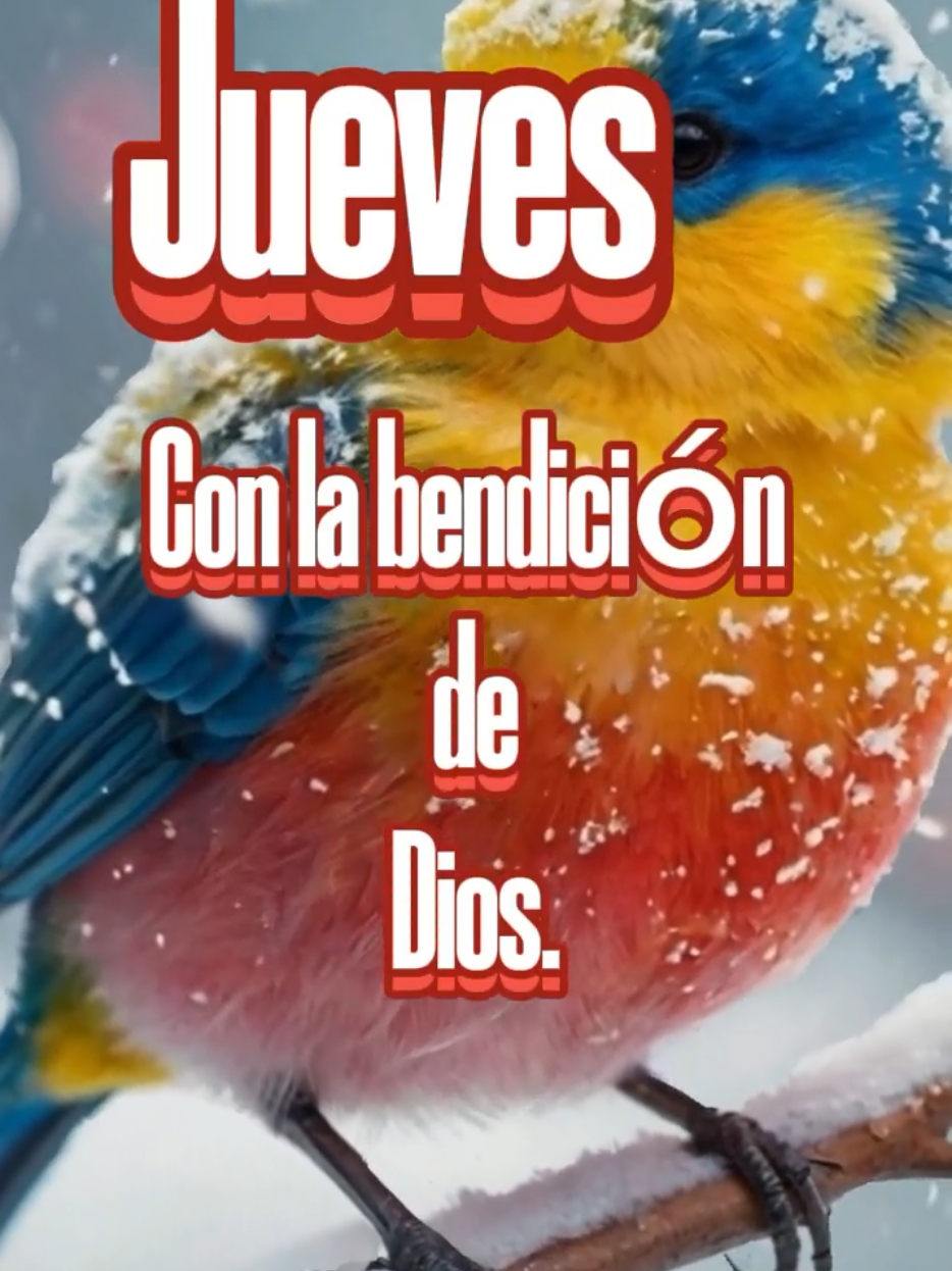 Buenos días #buenosdias #frasesbonitas #arelimendoza #bendiciones #jkeves #CapCut 