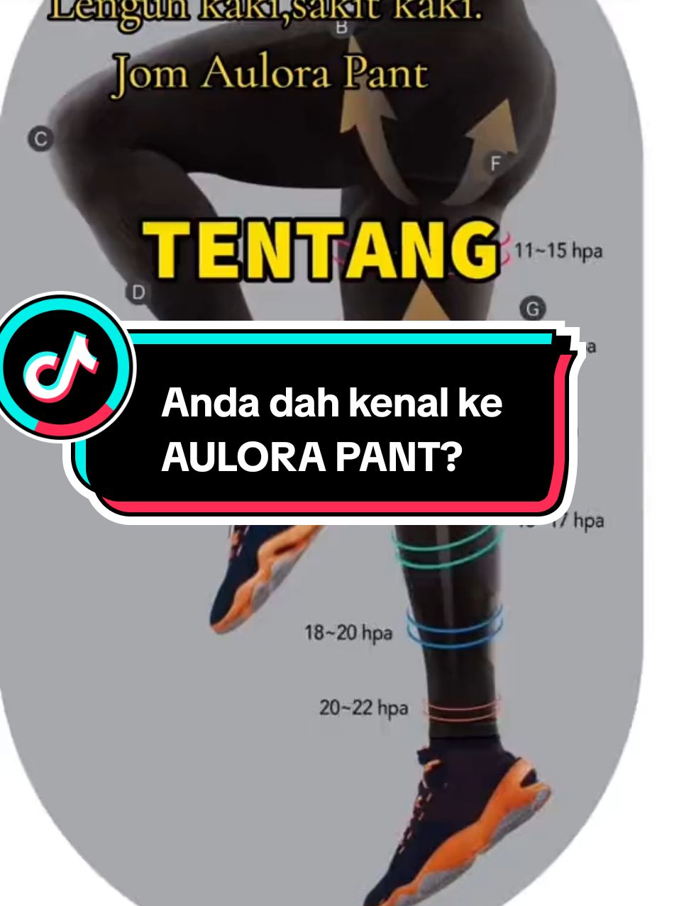 Jom kenali AULORA PANT yang menjadi kesukaan ramai orang  #aulorapants #aulorapantswithkodenshi 