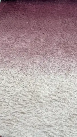 #tiktokshopblackfriday #tiktokshopfinds #fyp #tiktokshopcybermonday #falldealsforyou #rug 