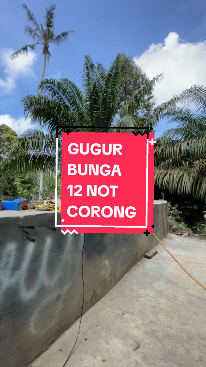 Membalas @tukang.nyodrek.bis Mengengang Pahlawan Dengan Lagu Gugur Bunga Genre Corong Basuri Suaranya Agak Mendem KeFilter Noise Reduction Jadi Gak Los, Tapi Tetep Candu Guys, Mau Lebih Candu Beli Custom Corong nya donk Denger Langsung Lebih Candu, PO Sekarang,  Chat Telegram ONLY  ORIGINAL SONG Judul : GUGUR BUNGA Cipt. : Ismail Marzuki Cover Basuri Base 12 Not Corong