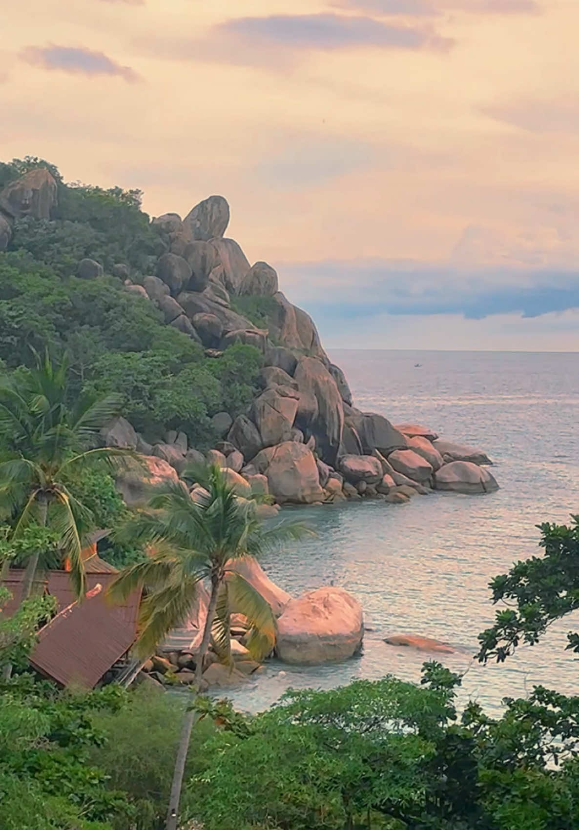 Feel the thrill of paradise 🌴🌄 📍Koh Tao - Thailand 🇹🇭 #thailand #thailandtravel #adventure #palmtrees #nature #beach #explore #vacation