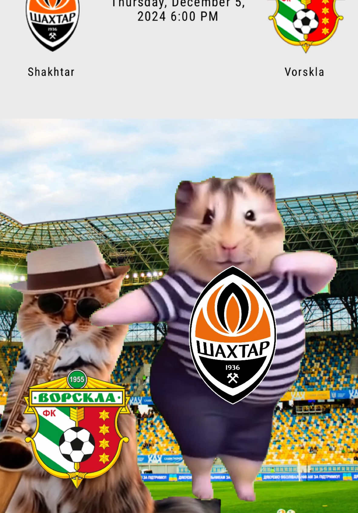 🤩 MATCHDAY 🧡 Shakhtar 🆚 Vorskla ⚽️ #Shakhtar #football #cat #dance 