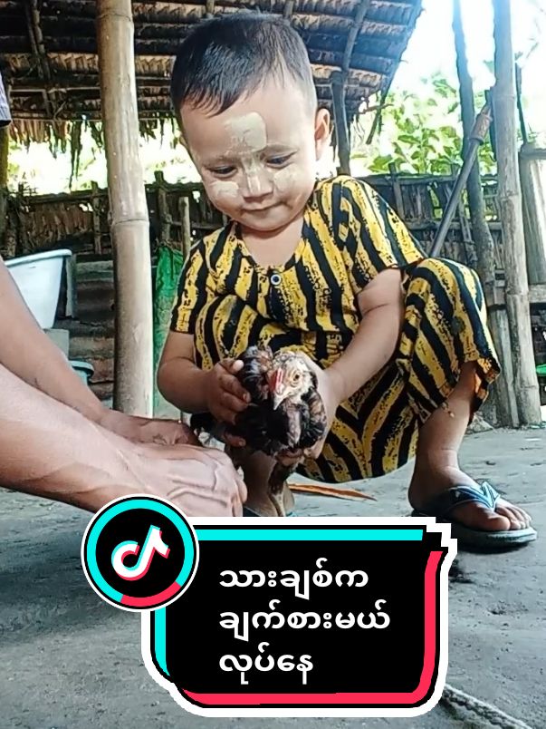 #tharchit #သားချစ် #myanmartiktok🇲🇲🇲🇲 #မြင်သူတိုင်းပျော်ရွှင်အေးမြပါစေ #foryou @သားချစ်မေမေ @သားချစ် @သားချစ် @သားချစ် 