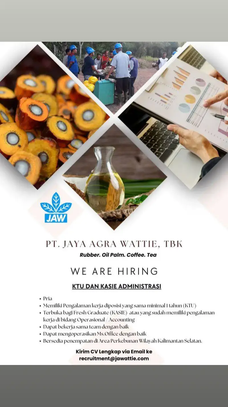 yg kemarin cari staff admin fresh graduate, jurusan akutansi mari merapat  #fypシ゚viral #sawitontiktok #lokersawit #sawitontiktok🌴🌴 #lokersawit #fyppppppppppppppppppppppp 