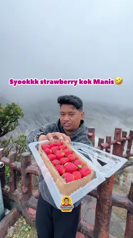 STRAWBERRYNYA CUMA 20ribu , viewnya yang Jutaan ✌️ . #cakdio #kuylinersuroboyo #bandung #tangkupanperahu #gunungtangkubanperahu #fyp #strawberry #viral #trending #jawabarat #serunyakuliner #gunung #strawberrylembang #lembang #lembangbandung 