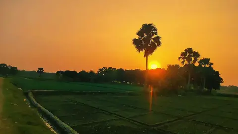 উদ্দেশ্যটা ঠিক রাখো আল্লাহ তোমাকে, তোমার গন্তব্যে পৌঁছে দেবে ইনশাআল্লাহ।  #viraltiktok #islamic #videos #nature #videoviral #beautiful #Bangladesh  #foryouシ