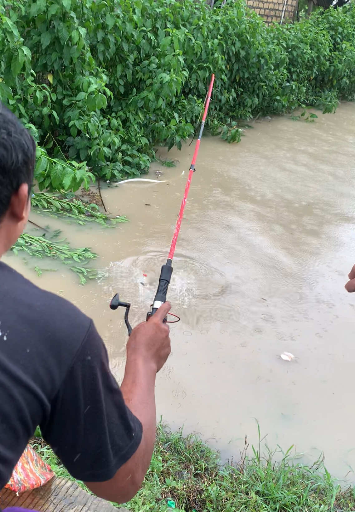 Pesta strike ikan lele babon saat banjir tiba #bencanaalam #mancingmania 