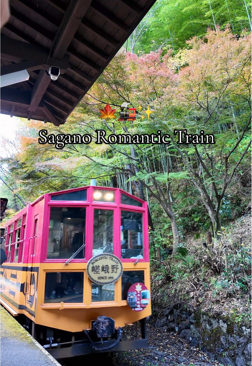 chasing autumn vibes aboard the Sagano Romantic Train! scenic views, crisp air, and memories to treasure forever #saganoscenicrailway  #saganoromantictrain  #saganotrainpov #autumn #japan #pov