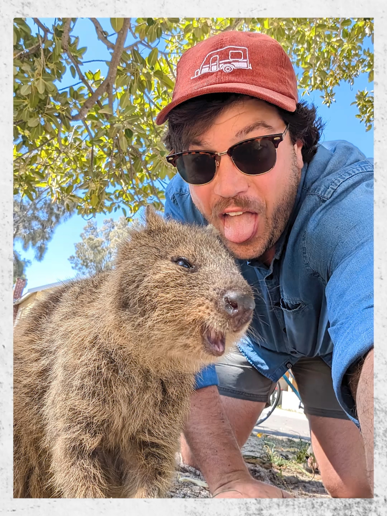 Face to face with Australia's most ferocious beast 👹 thanks to @Backpacker Deals 🤝🏼 #rottnestisland #perth