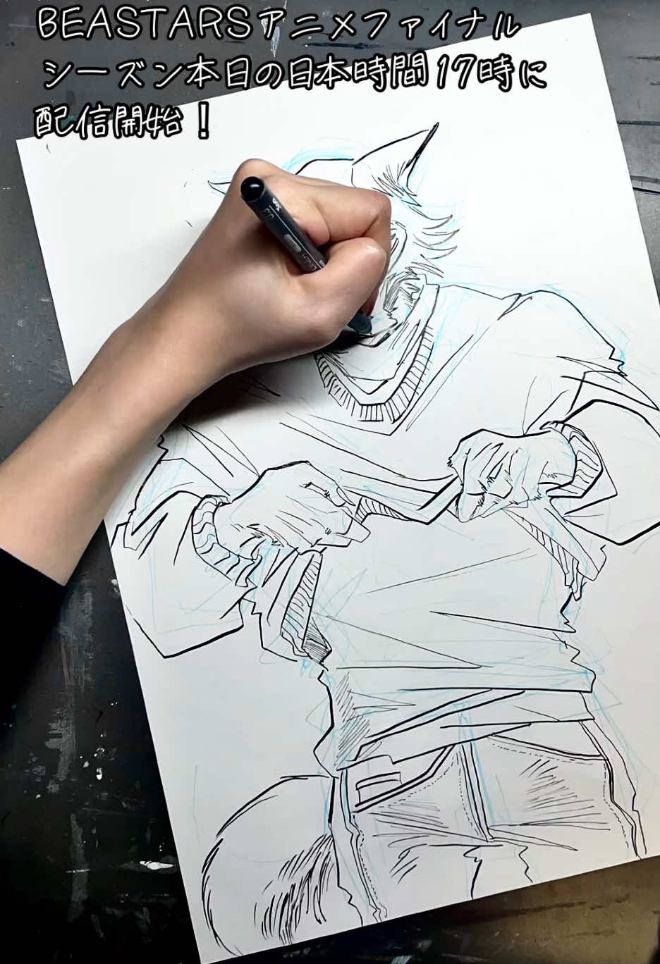 #beastars #アニメ #ファイナルシーズン 本日から配信開始！ カウントダウンイラストと動画撮影、ちゃんと5日続いた😂😂やるじゃん😂