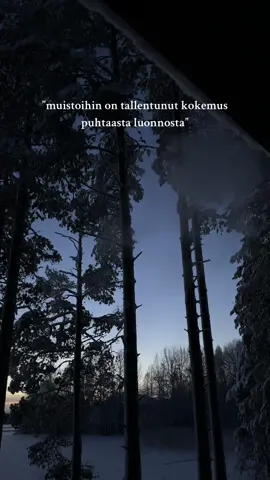 🇫🇮❤️ . . . #suomi #finnishlapland #lapland #winter #itsenäisyyspäivä #finland #independenceday 