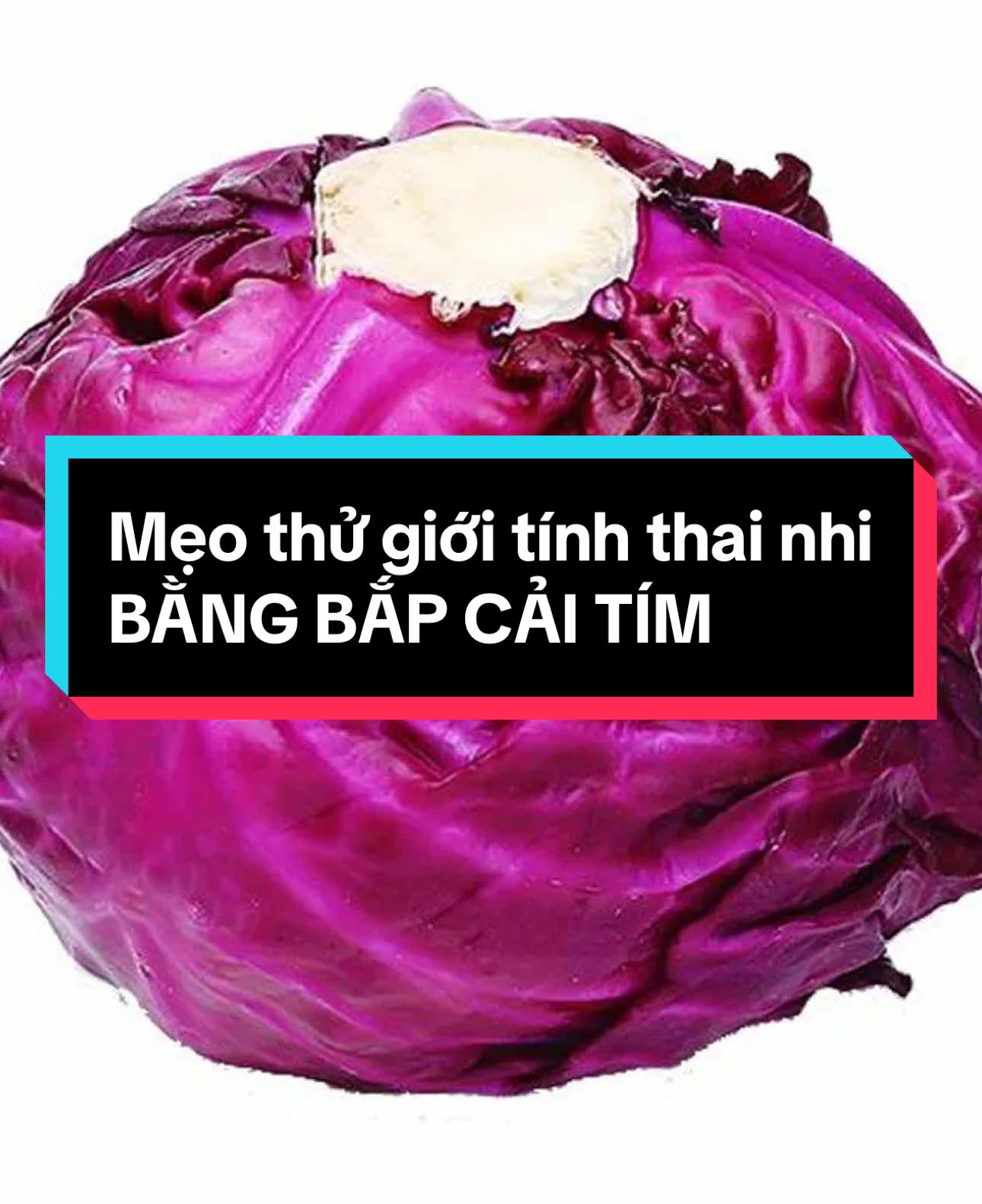 Mẹo thử giới tính thai nhi BẰNG BẮP CẢI TÍM  #CapCut #mebau #mevabe #gioitinhthainhi #meohay #sieuamthai #meo #LearnOnTikTok #trend #xuhuongtiktok2024 #viral 