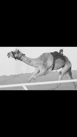 نجاحح 🤩🔥. 