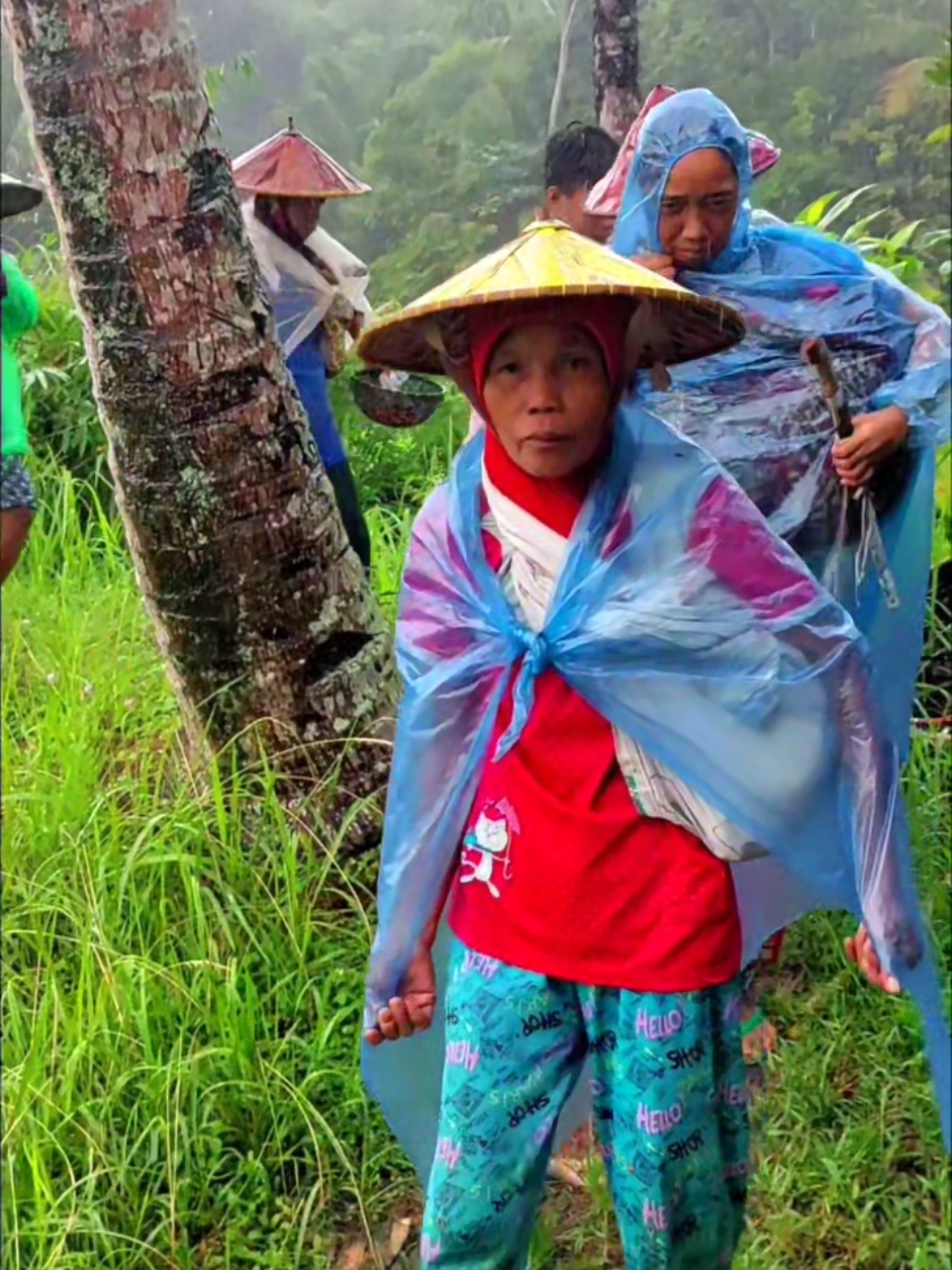 SUASANA HUJAN DI PESAWAHAN