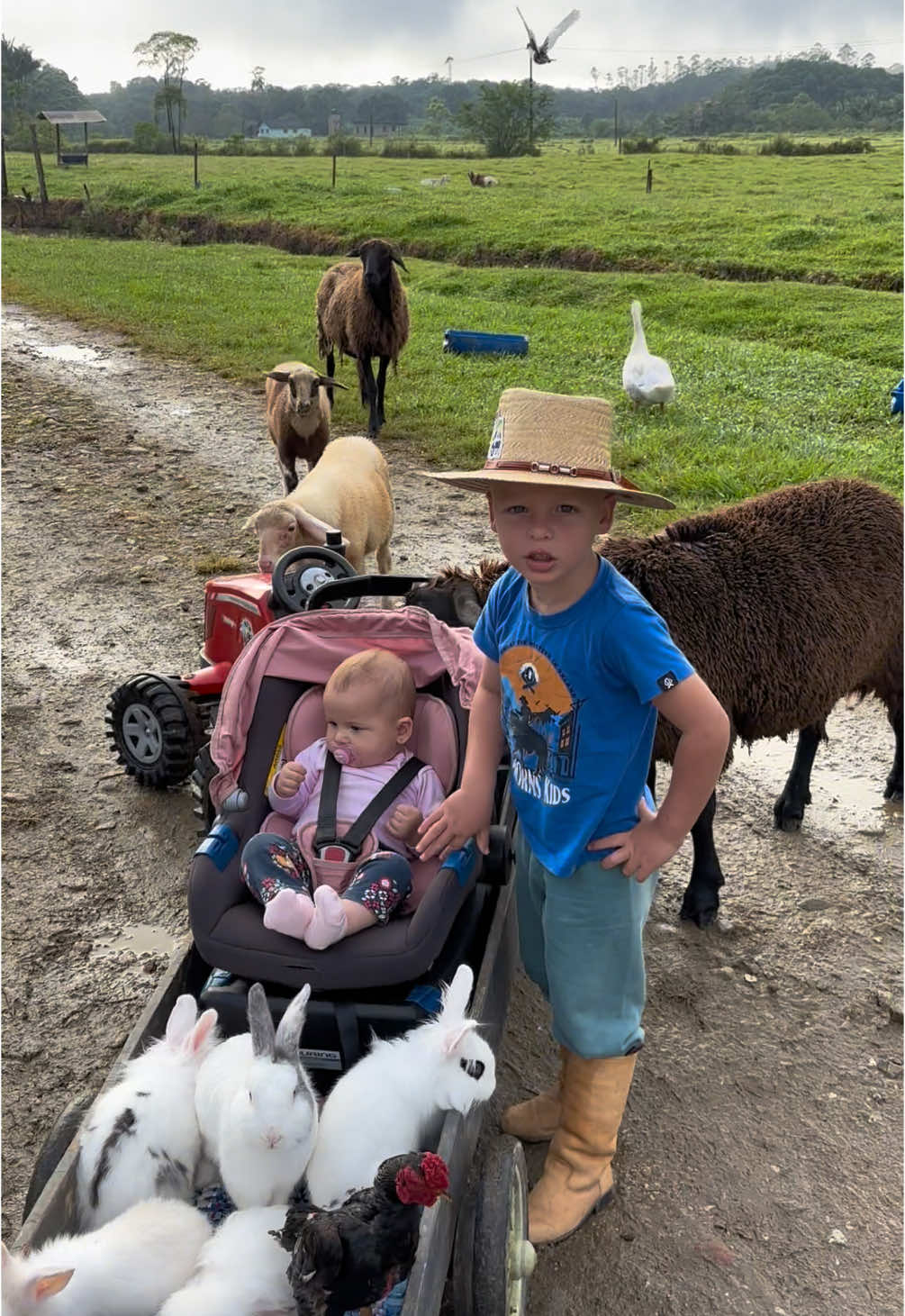 Um abençoado dia a todos nós 🧑🏼‍🌾👧😍❤️🙏🏻🙌🏻quanta fofura essa turminha 