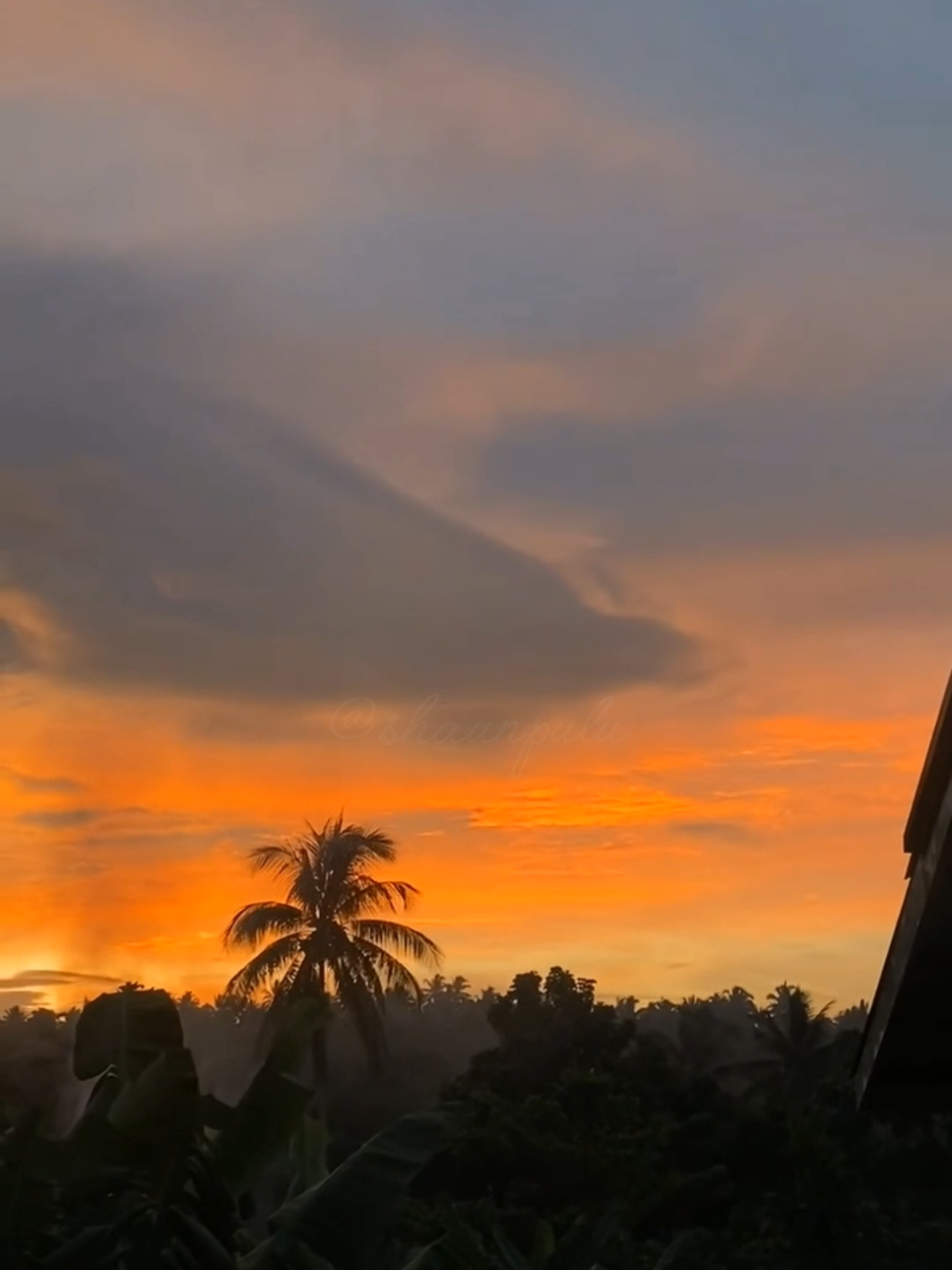 God’s art, my peace. ☀️☁️🌻🍯 #pngtiktok🇵🇬 #fyp 