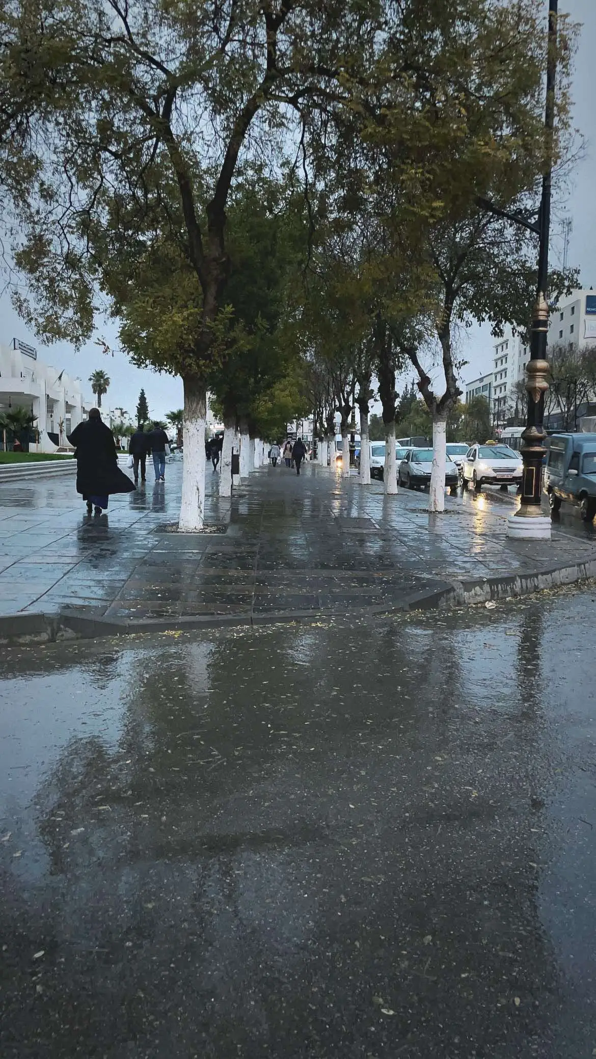 #rain #rainyday #setif #setif_dz_ 