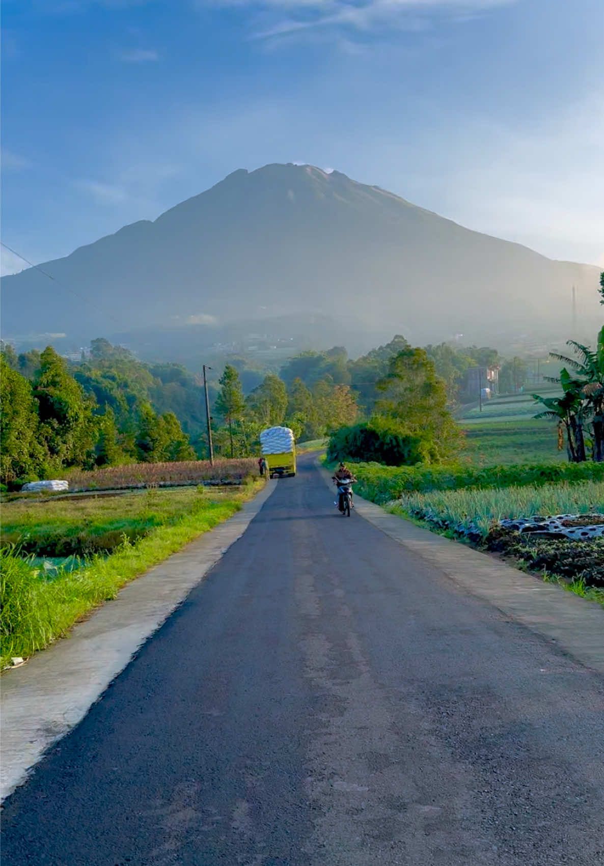 Sumbing di pagi hari  . . . #aestheticvibes #mettosmile #fyp @Pesona Indonesia @Wonderful Indonesia @malieqmaul13 