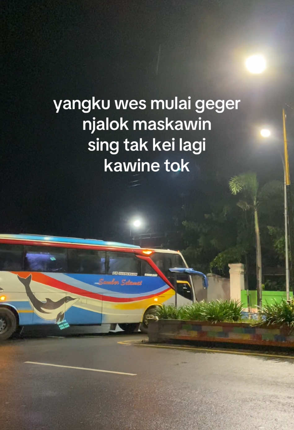 Pie menurutmu kang..?                                                           #4u #masukberanda #xyzbca #jowopride #jowostory #bahanswmu #fypage 