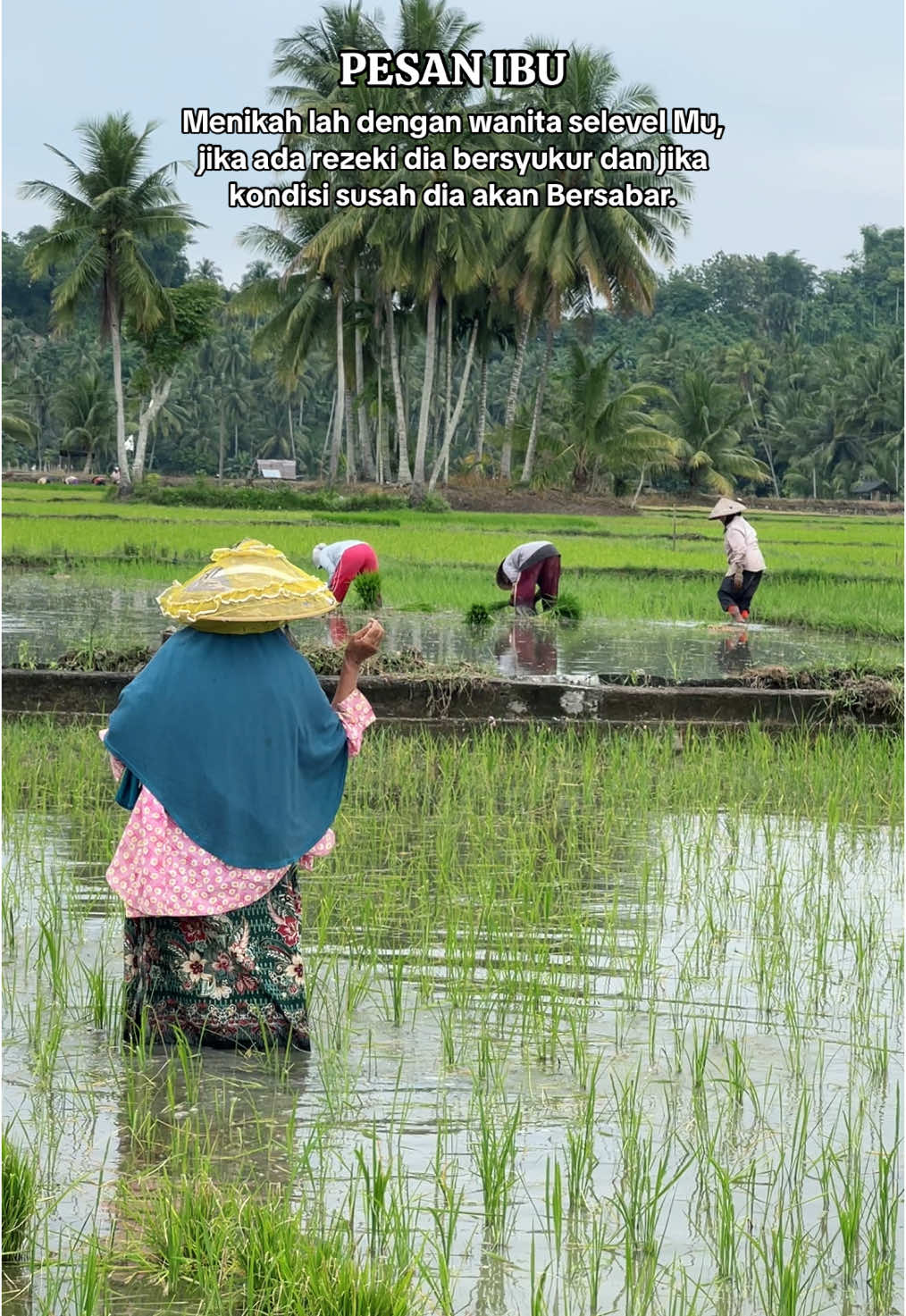 PESAN IBU.,,, Menikah lah dengan wanita selevel Mu, jika ada rezeki dia bersyukur dan jika kondisi susah dia akan Bersabar. • • • #ingat #pesan #ibu #ayahdanibu #ayahhebat #kasihibu #sawah #petani #bireuen #aceh #tiktok #CapCut #fyp #fypシ゚viral #foryoupage 