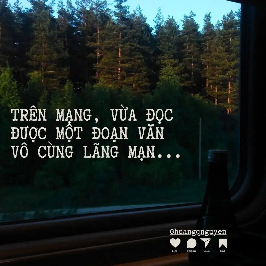 Người thích cậu rất nhiều, trong đó cũng có tôi. Nhưng người tôi thích thì rất ít, chỉ có mình cậu thôi. (Hạ Họa Xuân dịch)      #quote  #quoteoftheday  #quotes  #lonely  #sad  #sadvibes  #xuhuongtiktok  #tiktok  #trichdanhay  #nhachaymoingay #tamtrang #viral  #viralvideo  #music #caunoihay #caunoihaymoingay🍀🍀  #quotestory  #trichdan  #xuhuong  #trending  #tamtrangbuon #nhachaymoingay #foryou #fyp #hoangqnguyen #fypシ 