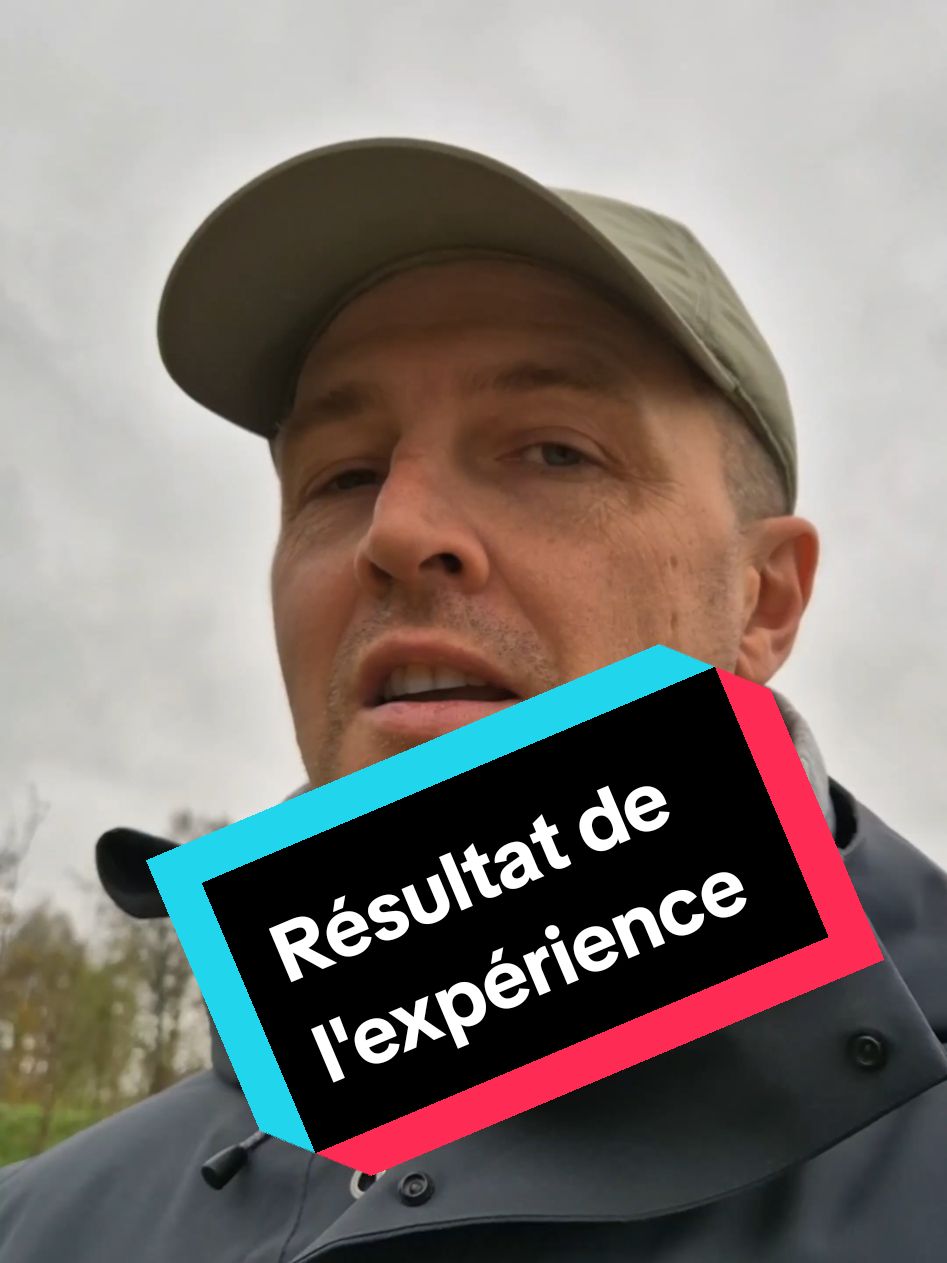 Résultat de l'expérience TikTok.  Conseils à suivre et pièges à éviter pour réussir à développer son contenu. 