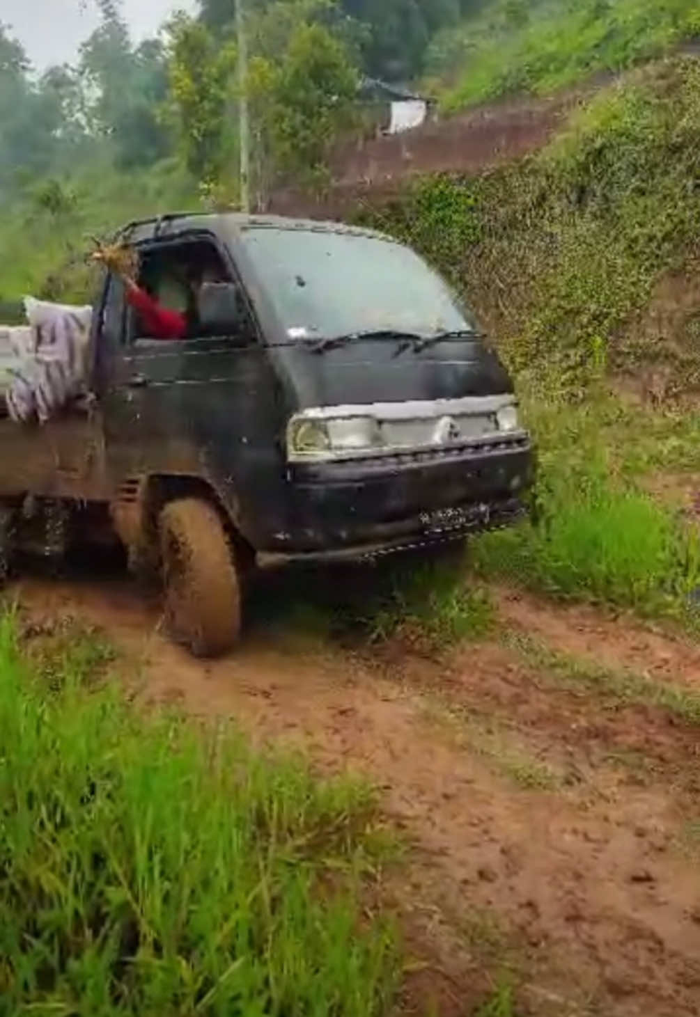 Terongoffroad😅#aerpe #pasukanlodeh #sayurbandung #terongbandung #petaniindonesia🇮🇩🇮🇩🇮🇩🌿🌿 #petanitomat🍅 #petanimilenial #petanimuda #m72 #cappanahmerah #panenmakmur 