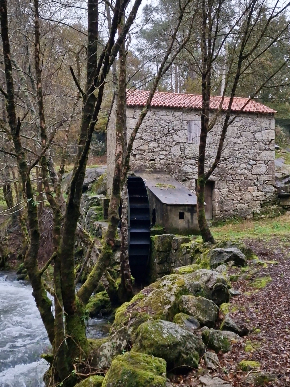 No hay mejor belleza que la naturaleza. Área Recreativa de Río de Albariña. #galicia #galiciacalidade #turismogalicia #sitiosconencantoengalicia 