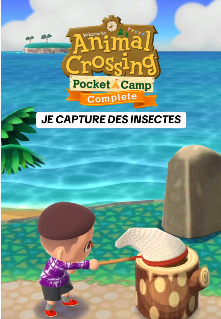 - J’adore ce jeu 🫶🏼 Rejoins-nous sur Discord pour jouer et discuter avec nous ✨ (lien dans la bio) #flavienalexzander #animalcrossing #pocketcamp 