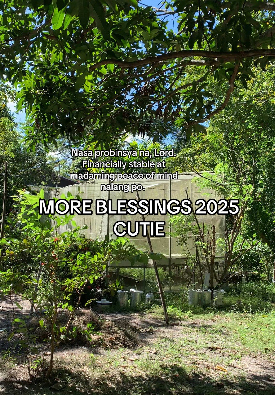 Sabay sabay tayo sa 2025 cutie. ✨ #manifesting #hydroponics #SmallBusiness #provincelife #contentcreator #contentaffiliate #successfullife #blessings 