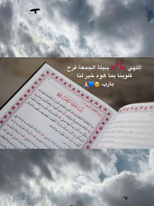 اللهي بفاطمة وأبيها وبعلها وبنيها والسر المستودع فيها حقق ما نتمناه🥺💔#اللهم_امين  #حزن #موسيقى #🖤🥀 