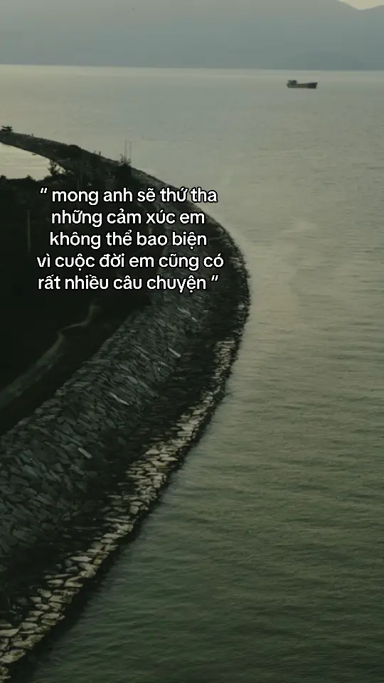 “ mong anh sẽ thứ tha những cảm xúc em không thể bao biện   vì cuộc đời em cũng có rất nhiều câu chuyện “#fyp 