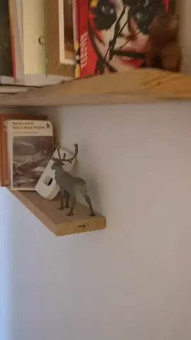 Le cadeau idéal pour les personnes qui veulent un livre mais se rappellent plus du titre et savent pas qui est l'auteur #BookTok #cadeaudenoel #humour 