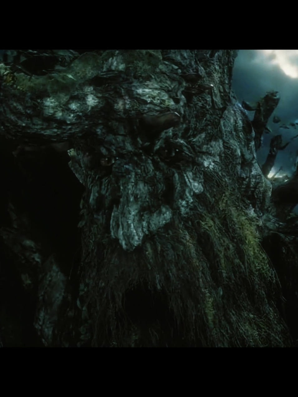 The Last March of the Ents #lordoftherings #thetwotowers  #lordoftheringsedit #thelordoftherings #tofl