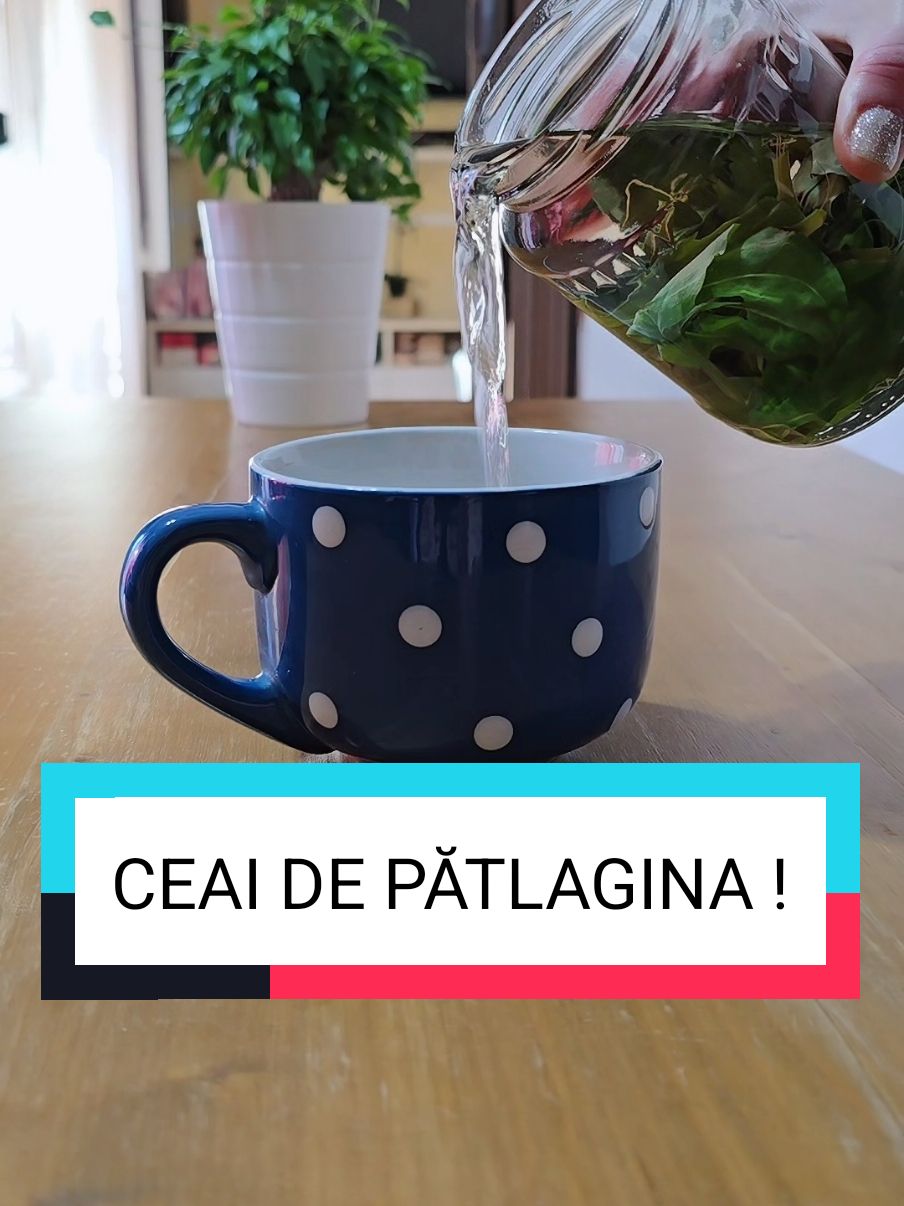 #ceai #patlagina #frunze #renuntalafumat #renunta #coadacalului #ceaicoadacalului #uscat #pelin #ceaidepelin #tonic #amar #gripovitmaxc #detox #detoxdrink #detoxifiere #castravete #lamaie #lamaie🍋 #menta  #balonare #balonaredureroasa #constipatie #constipation #constipationrelief #dietaminune #apa #izvor #ceamaibuna #misiuneatiktok #chisturi #chisturiovariene #chisturimamare #nonitahitianoriginal #coloniritabil #helicobacterpylori #digestie #balonari #constipatii #probiotice #remediinaturiste #diete #ulcer #gastrita #vindecareasufletului #vindecareasinelui   #5pasidebine #afaceri #afacereamea #castigaonline #slabesterapid #slabesteusor #secretelebibliei #secreteascunse #adevaruriascunse #biblia #dumnezeuteiubeste #dumnezeu #dumnezeuteiubeste #dumnezeu_e_cu_tine1  #dumnezevexista #isus #isusteiubeste #isushristos #iubire #iubireamea #iubireadevarata #iubireameainfinita #iubireaschimbatot #meditatie #meditatiedeseara #rugaciune #rugaciunea #rugaciunede #rugaciuneainimit #rugaciunepentrutine #rugaciunea_tatal_nostru #rugaciune  #fiitu #fituinsuti #fituperfectpentrutine  #fituinsutimereu #iubeste #iubestete #iubesteviata #iubestema ° #spiritualitate #maicadomnului #maicadomnuluvi ~ #sfinti #sfintii #mantuire #mantuirea #mantuirea #mantuitorulnostru #mantuitorulnostru #mantuitorul *+ #credinta #credintaindumnezeu #credinta #putere   #credinta_adevarata #credintasirugaciune #post #postcuapa #vindecare #detoxifiere #vindecaretraume #vindecareenergetica #vindecareasufletului #vindecareacopiluluinterior #vindecareasinelui #vindecareaemotiilor #sanatatepeprimulloc #sanatatementala #sanatateafemeii #sanatateaevitala #sanatateabarbatului #emotiinegative #rugaciunedeajutor #talisman #sfinti #sfintii #sfintim #daruire  #rugaciunepozitiv #legeaatractiei #depresie #anxietate #dureridecap #dureri #dureridespate #mintea #minteamea #crestin #crestini #crestiniadevarati #crestinism #crestina #crestin   #dependent #dependenta #dependentamea #dependentaa_ #iubirepura #iubirepura #iubitepura♥️😌   #filliber #viatadesucces #slabeste #slabestesanatos #insomnia #insomnie #razboi #foryoupage #fyp #fy #foryou #vs #Love #feed #pace #romanidinitalia #romanidinanglia #romanidinelvetia #romanidinstrainatate 